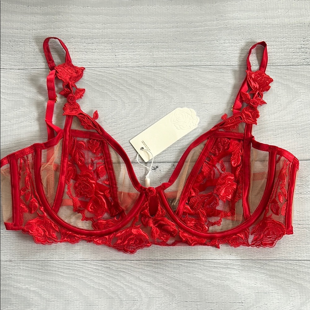 NWT For Love & Lemons Romantic Roses Red Floral Lace Mesh Underwire Bra Size L
